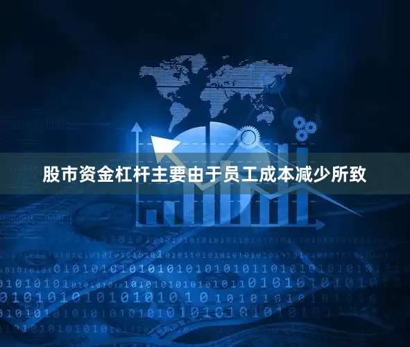 股市资金杠杆主要由于员工成本减少所致