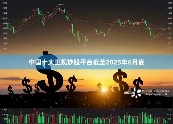 中国十大正规炒股平台截至2025年6月底